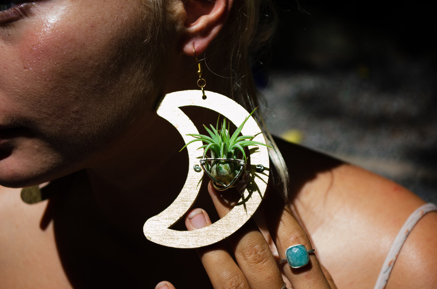 Wood Air Plant Earrings Heart, Moon, Circle, I-Ching Octagon