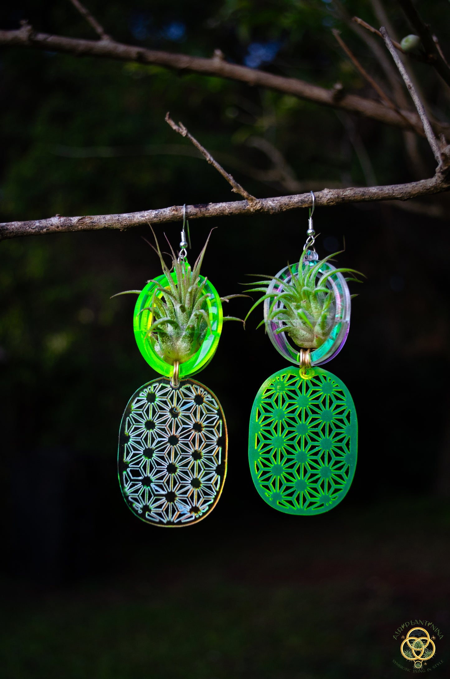 Air Plant Orb Earrings ~ Pineapple ~ Blacklight Holographic ~ Lasercut Original Design