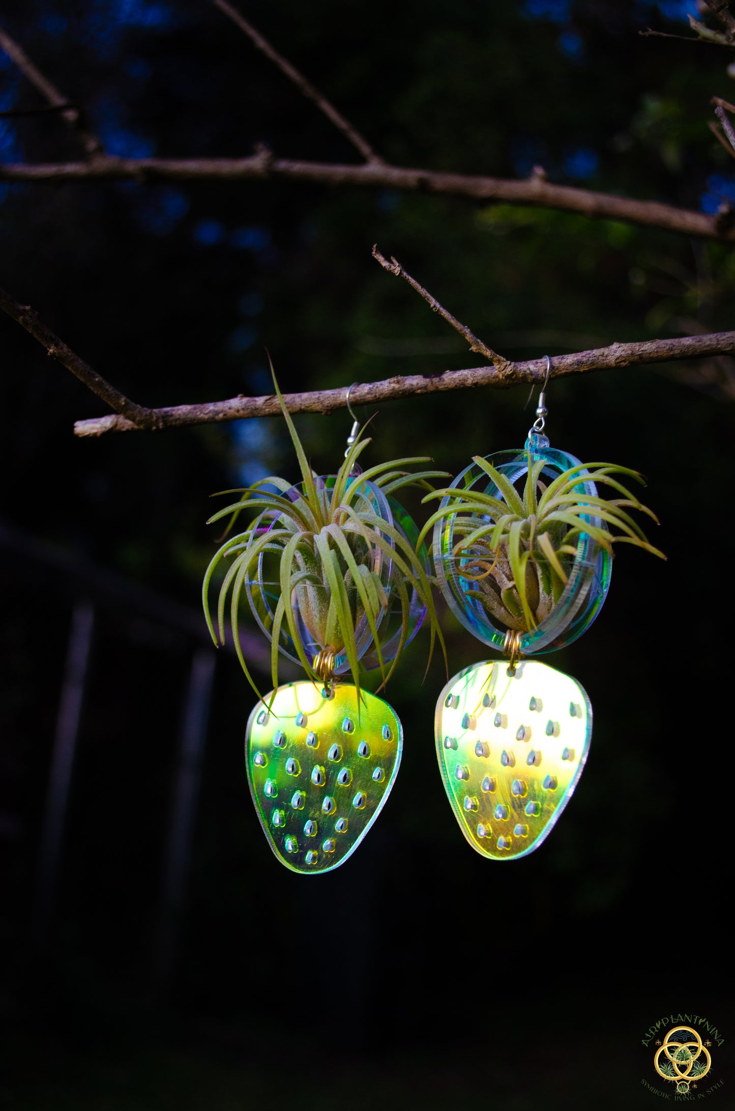 Air Plant Orb Earrings ~ Strawberry ~ Blacklight Holographic ~ Lasercut Original Design