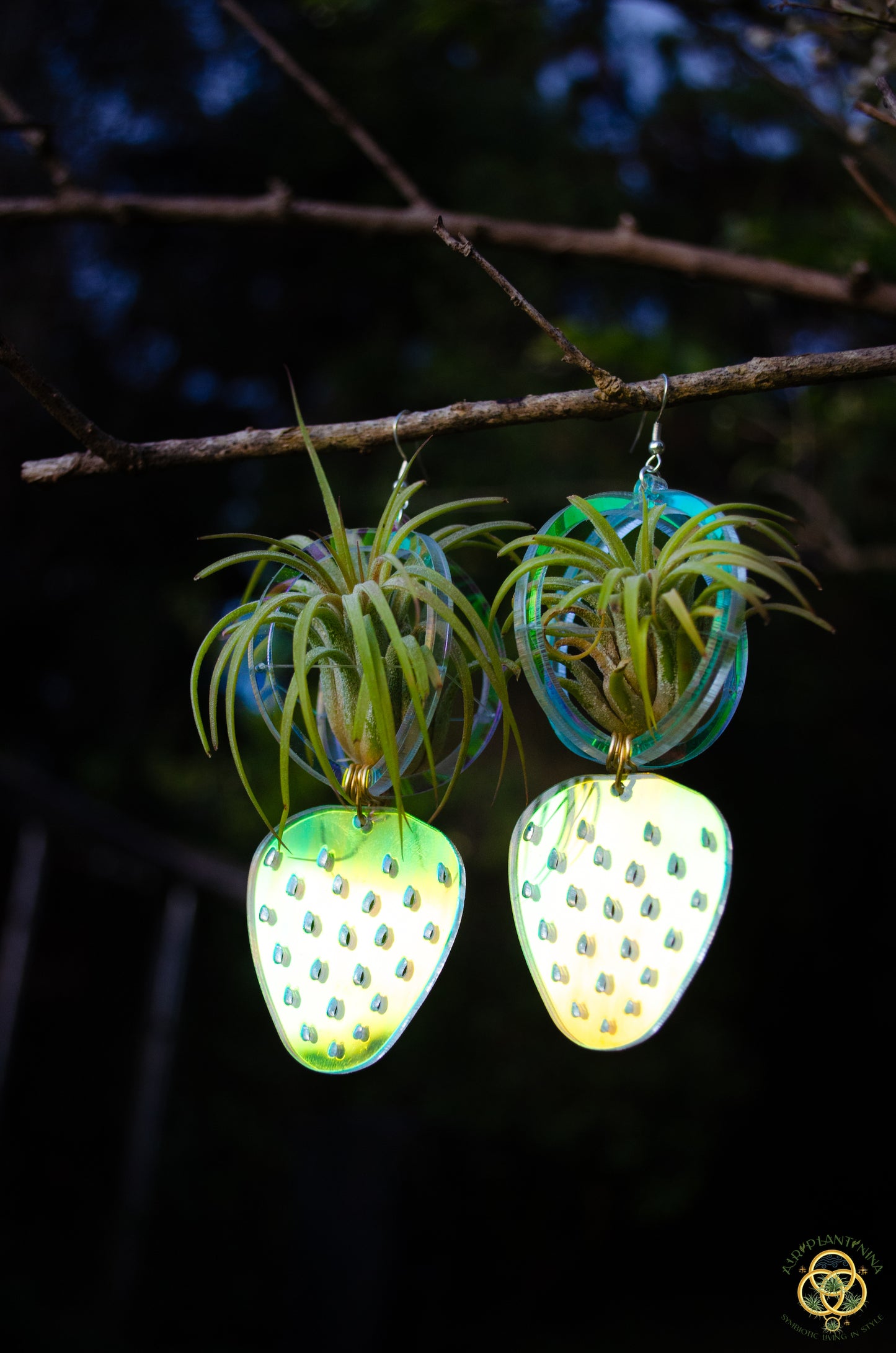Air Plant Orb Earrings ~ Strawberry ~ Blacklight Holographic ~ Lasercut Original Design