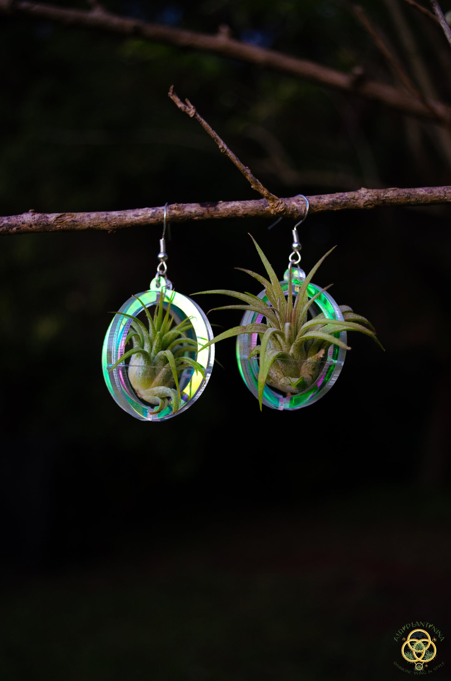 Air Plant Orb Earrings Blacklight Holographic ~ Lasercut Original Design