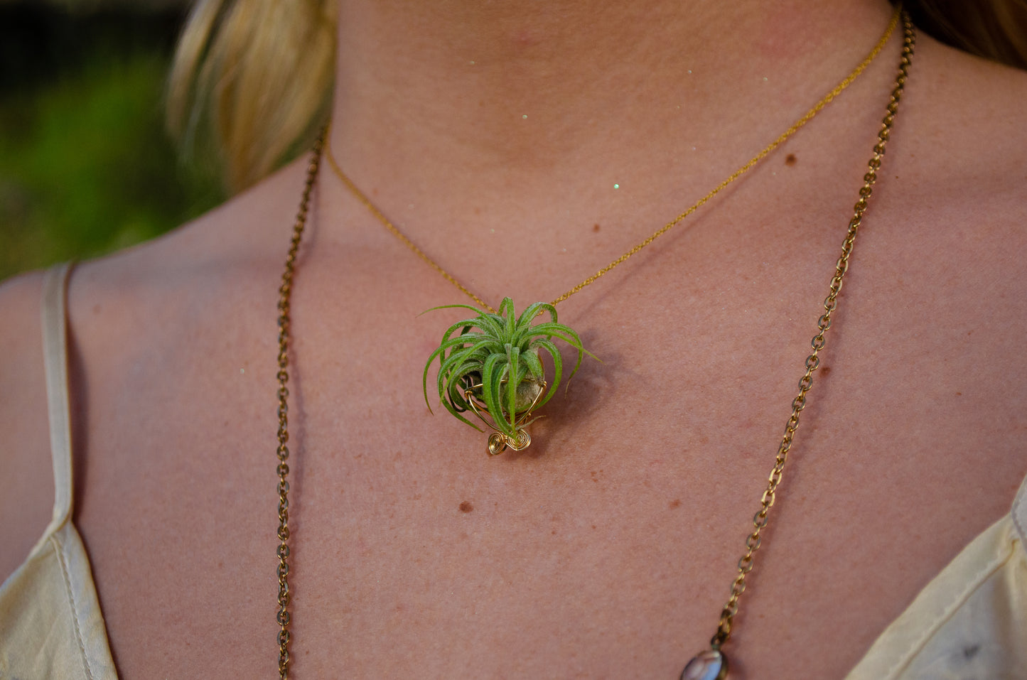 Minimalist 14K Gold Air Plant Orb Pendant ~ Dainty