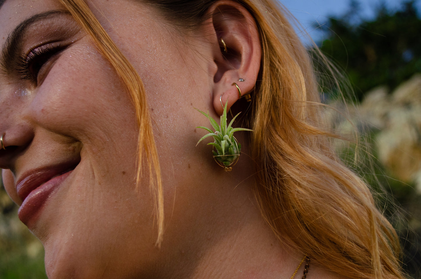 Minimalist 24K Gold Air Plant Orb Earrings ~ Dainty