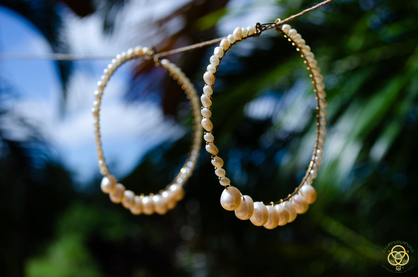 Pearl Hoop Earrings ~ Geniune Pearls (Small, Medium, Large, Many Styles)