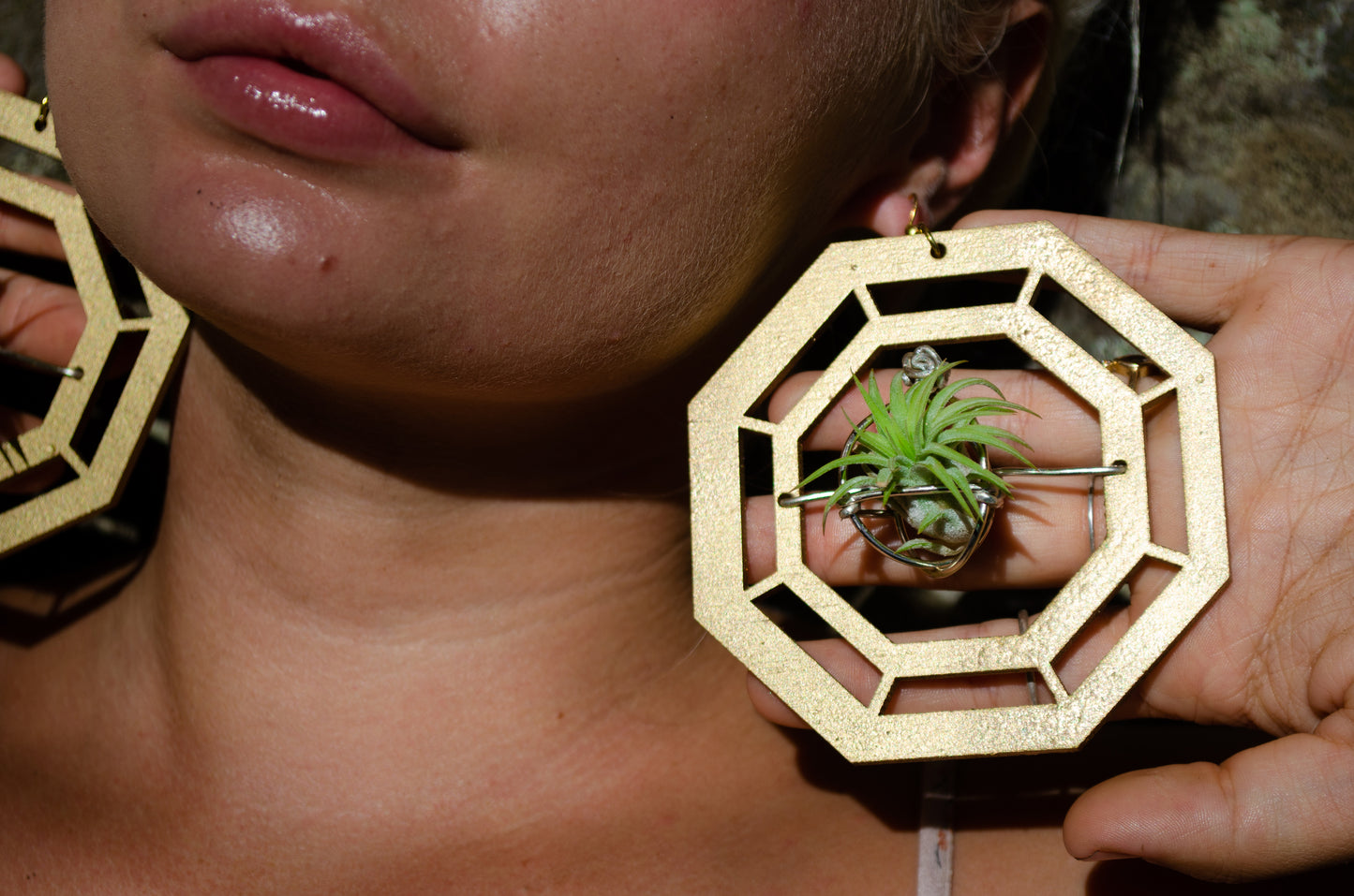 Wood Air Plant Earrings Heart, Moon, Circle, I-Ching Octagon