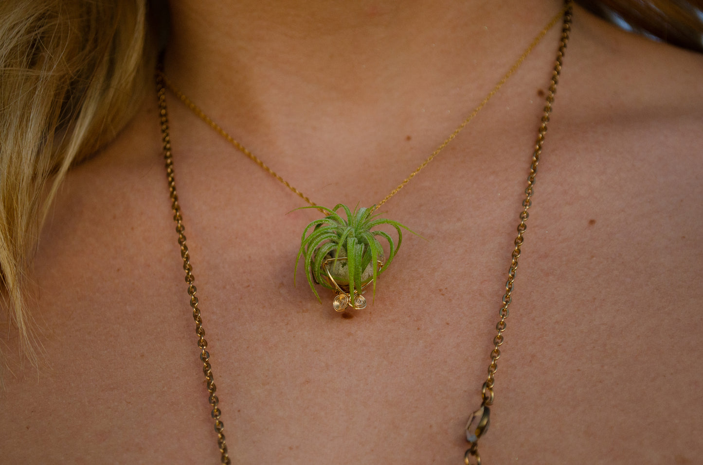 Minimalist 14K Gold Air Plant Orb Pendant ~ Dainty