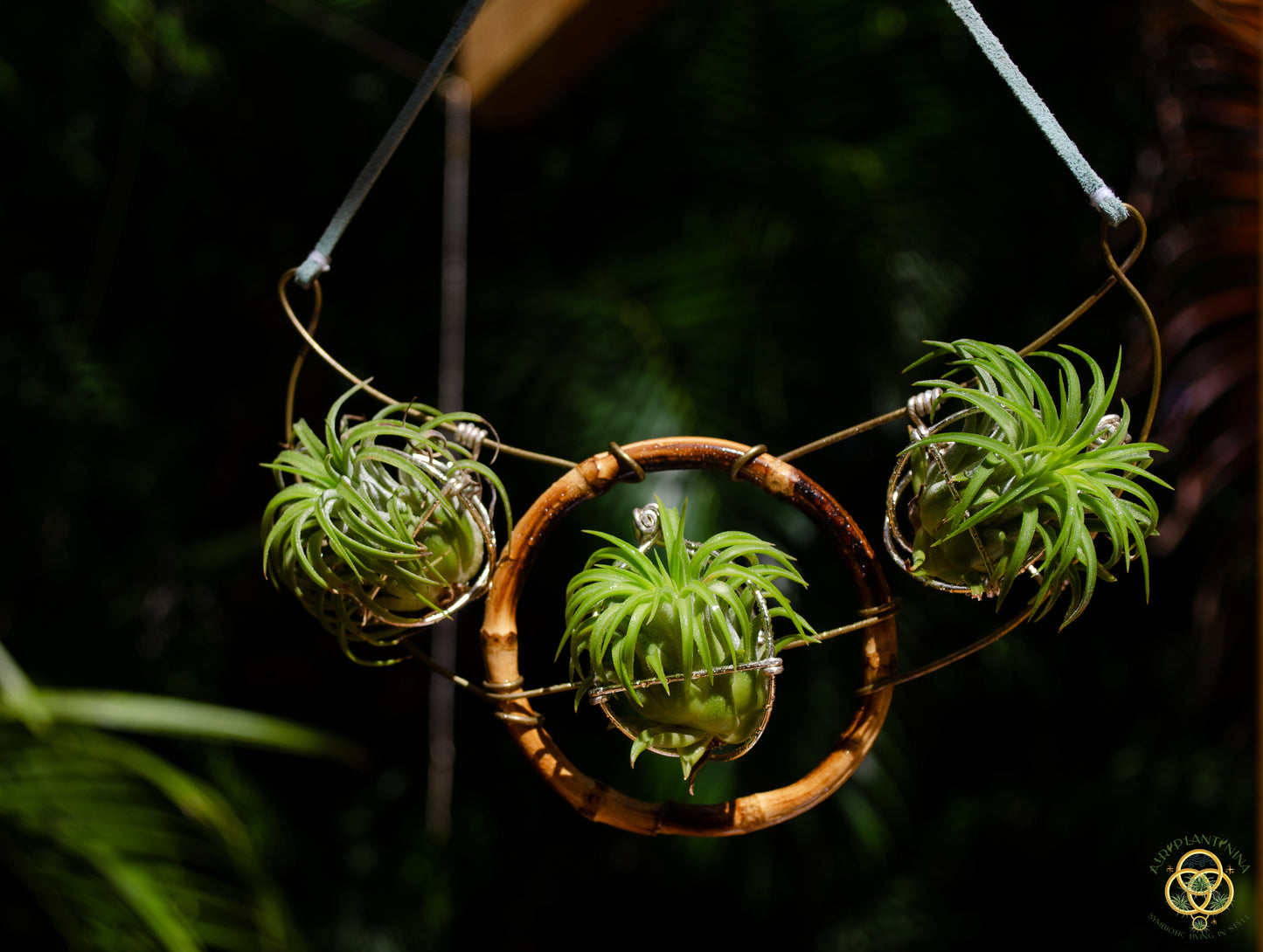 Air Plant Goddess Statement Collar Necklace ~ Warrior Bamboo Necklace