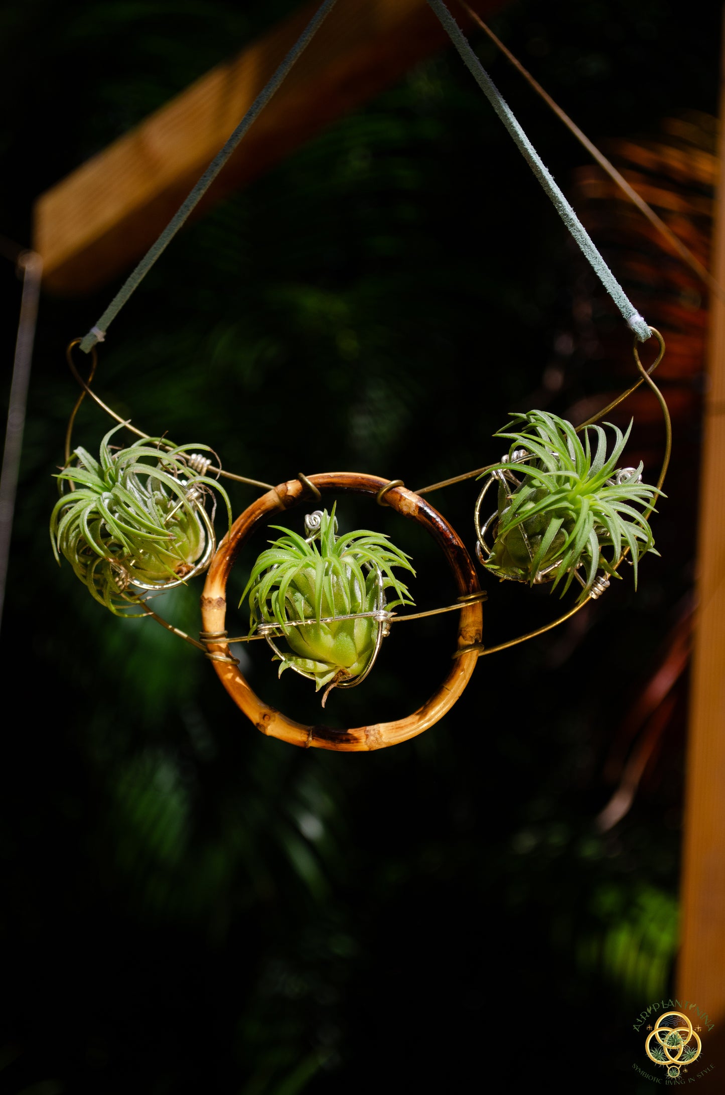 Air Plant Goddess Statement Collar Necklace ~ Warrior Bamboo Necklace