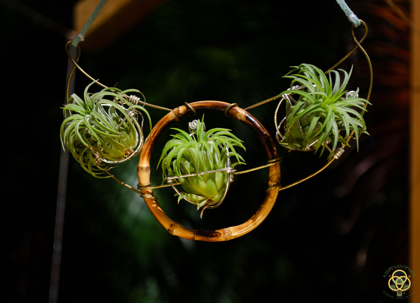 Air Plant Goddess Statement Collar Necklace ~ Warrior Bamboo Necklace