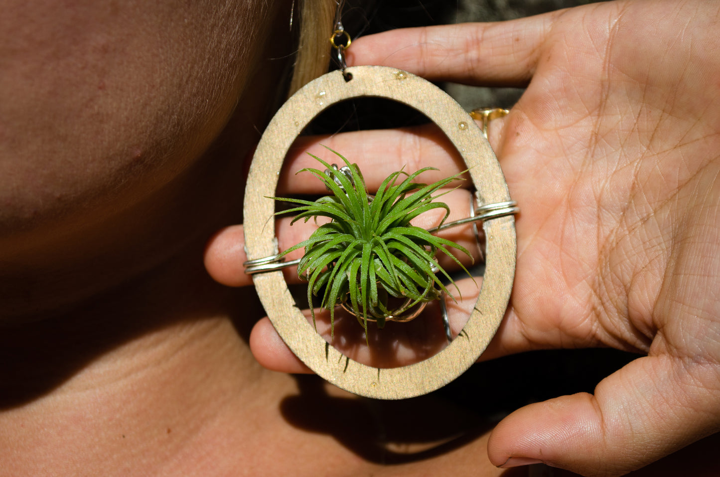 Wood Air Plant Earrings Heart, Moon, Circle, I-Ching Octagon