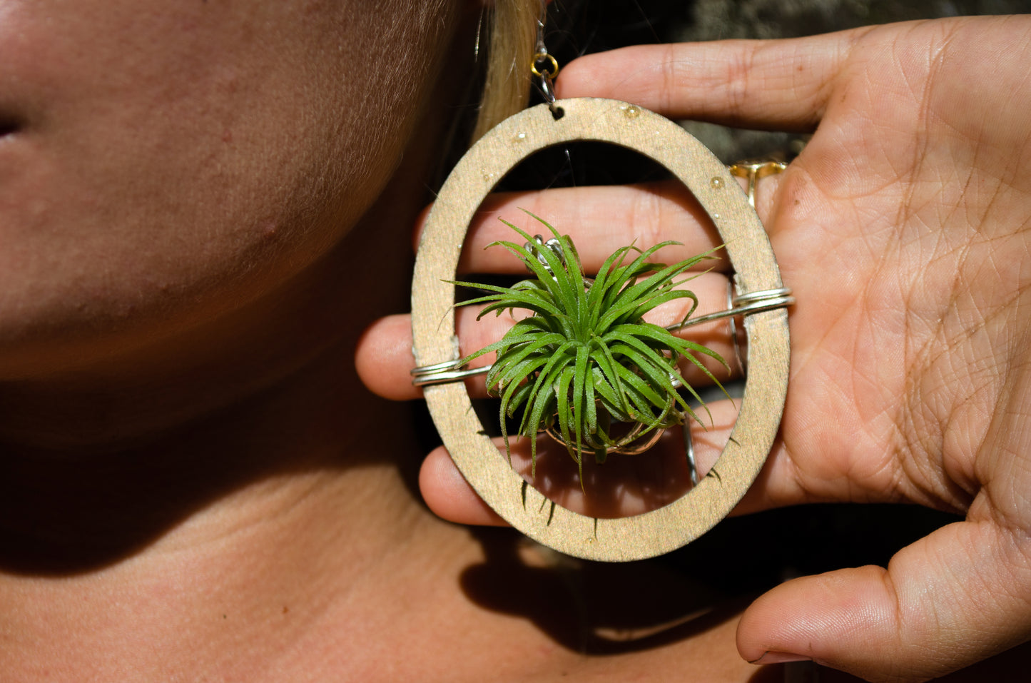 Wood Air Plant Earrings Heart, Moon, Circle, I-Ching Octagon