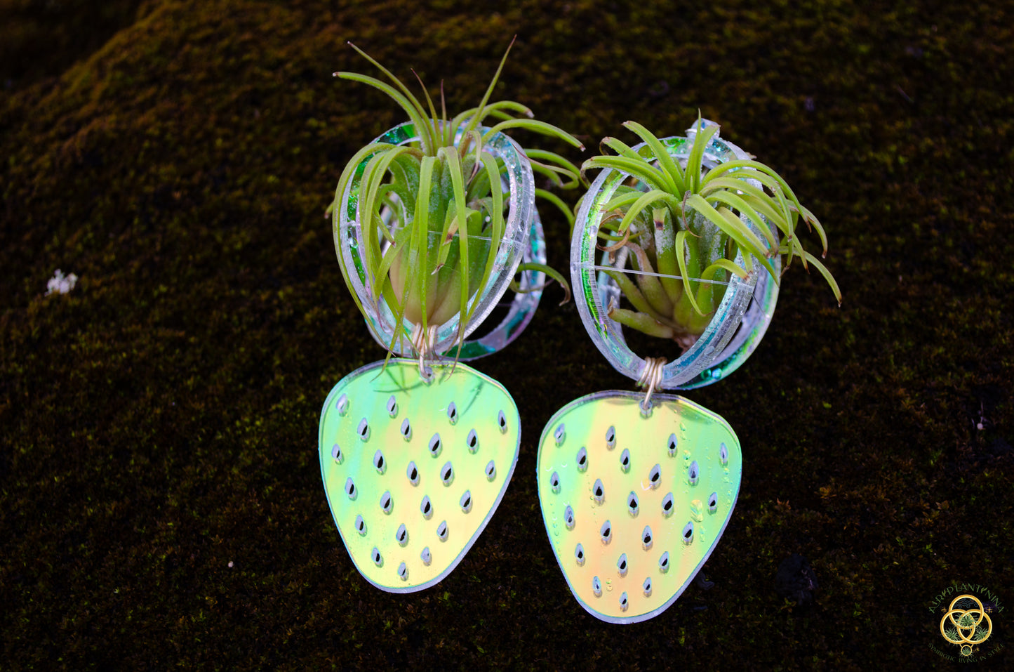 Air Plant Orb Earrings ~ Strawberry ~ Blacklight Holographic ~ Lasercut Original Design