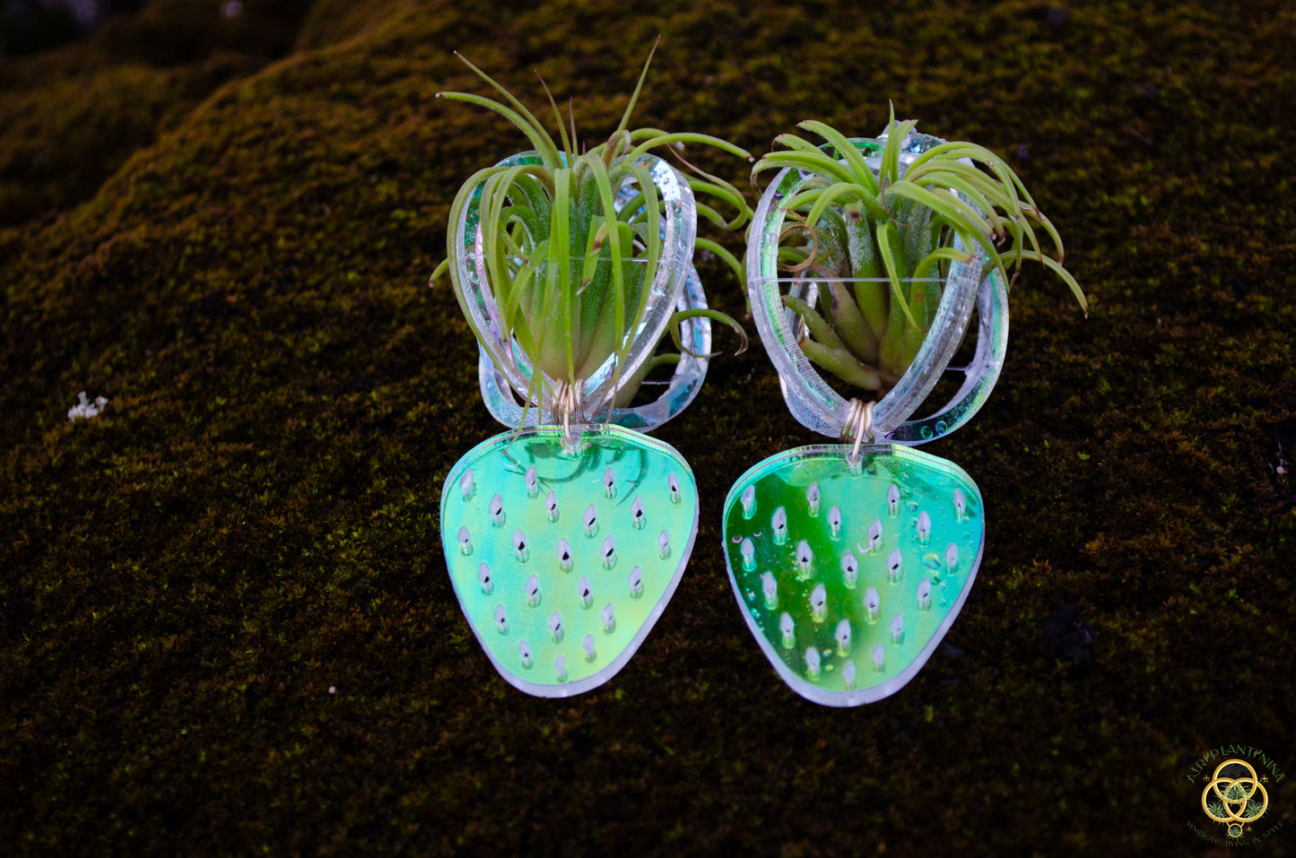 Air Plant Orb Earrings ~ Strawberry ~ Blacklight Holographic ~ Lasercut Original Design