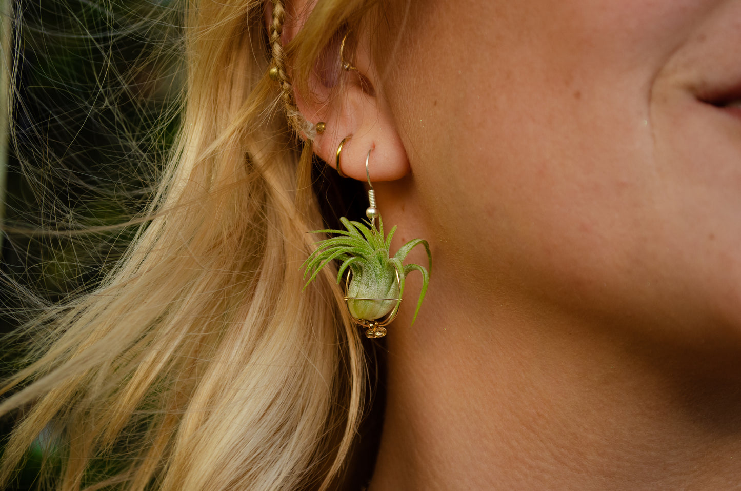 Minimalist 24K Gold Air Plant Orb Earrings ~ Dainty
