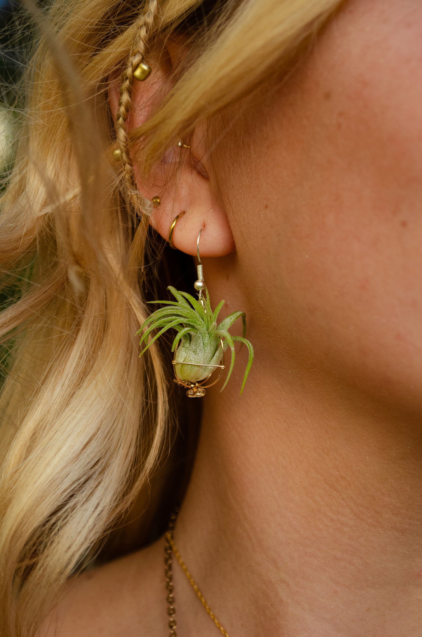 Minimalist 24K Gold Air Plant Orb Earrings ~ Dainty