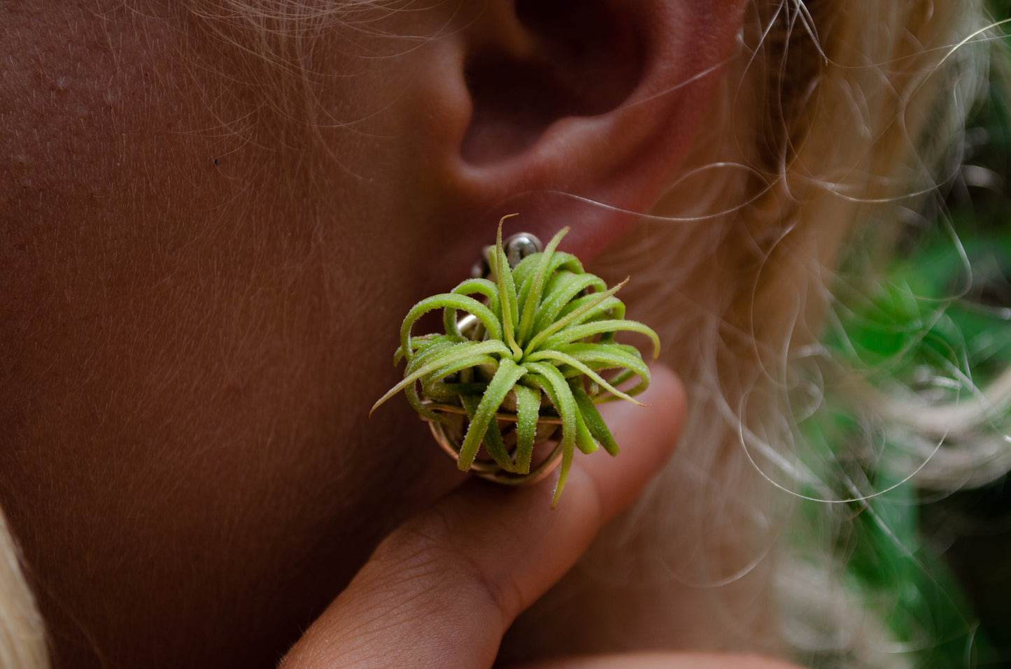 Air Plant Orb Stud Earrings Dainty & Cute