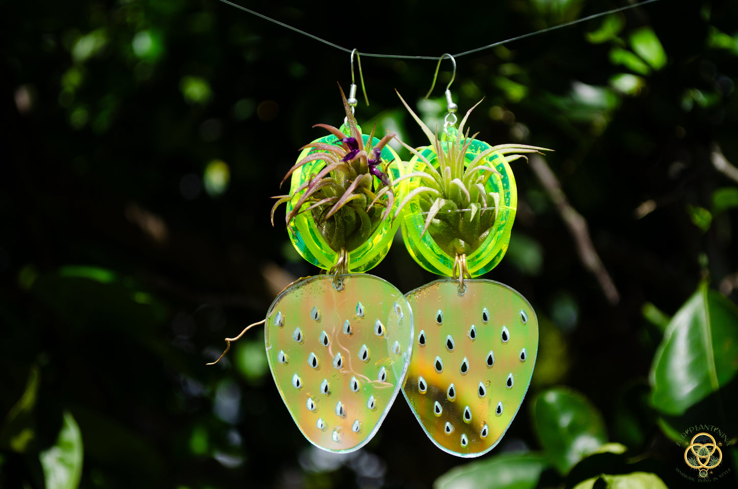 Air Plant Orb Earrings ~ Strawberry ~ Blacklight Holographic ~ Lasercut Original Design