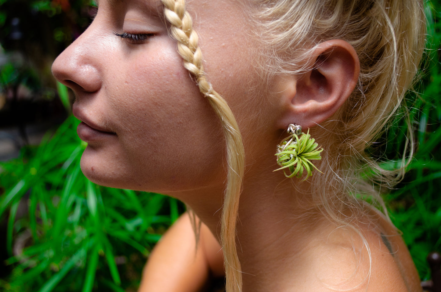 Air Plant Orb Stud Earrings Dainty & Cute