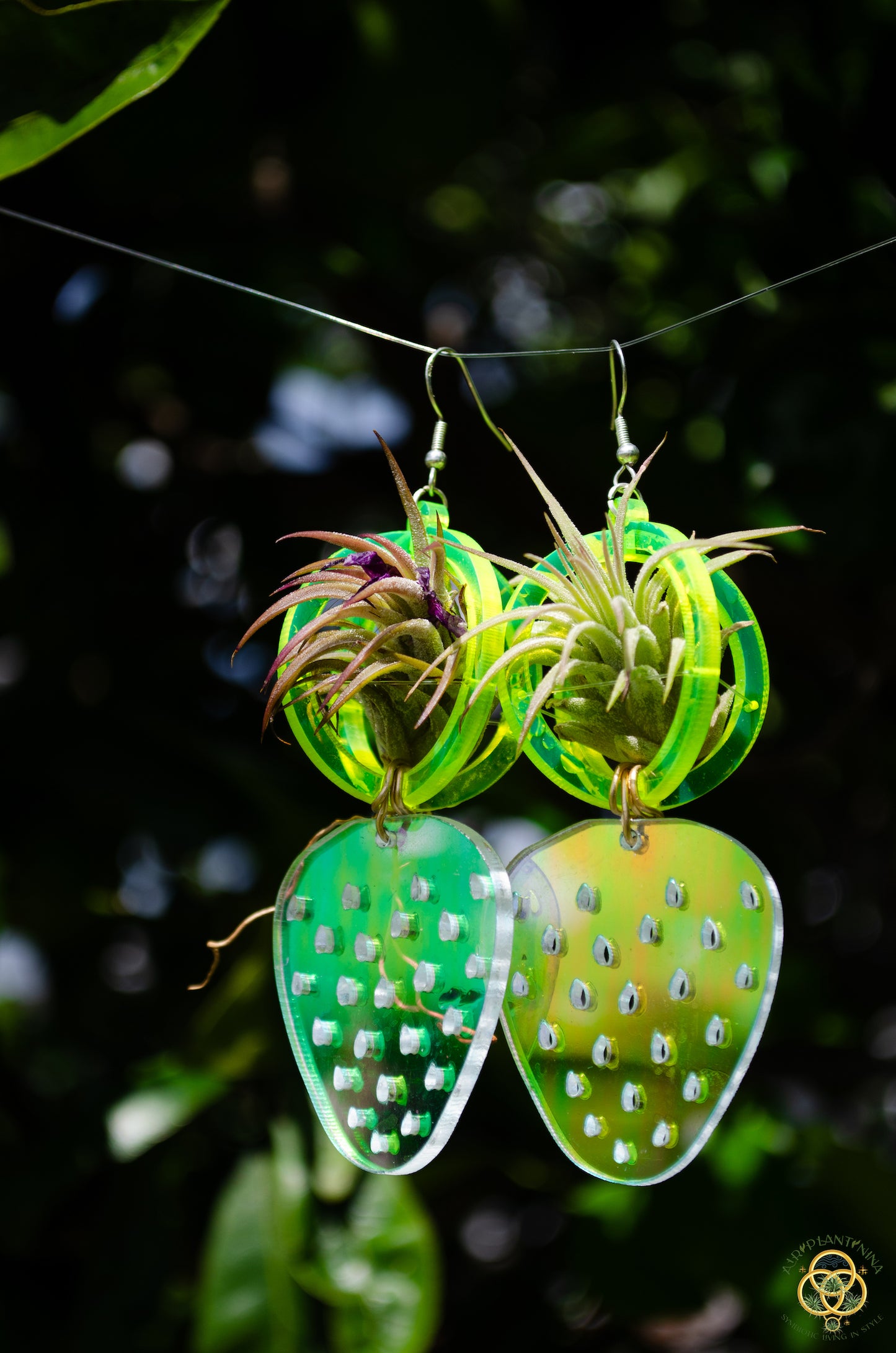 Air Plant Orb Earrings ~ Strawberry ~ Blacklight Holographic ~ Lasercut Original Design