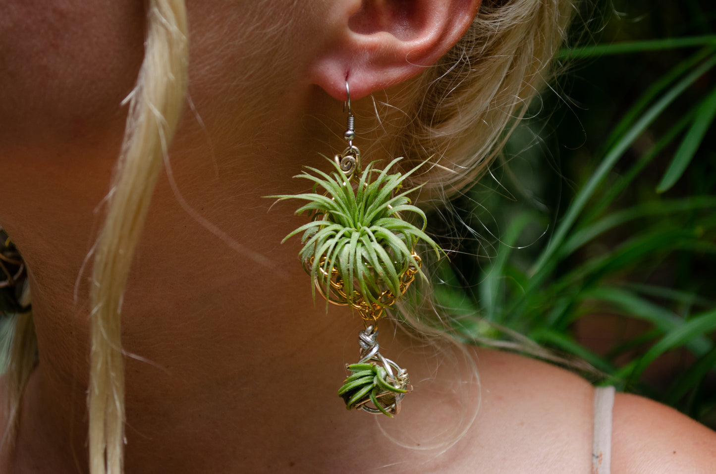 Air Plant Orb Earrings ~ Mama + Baby Air Plant