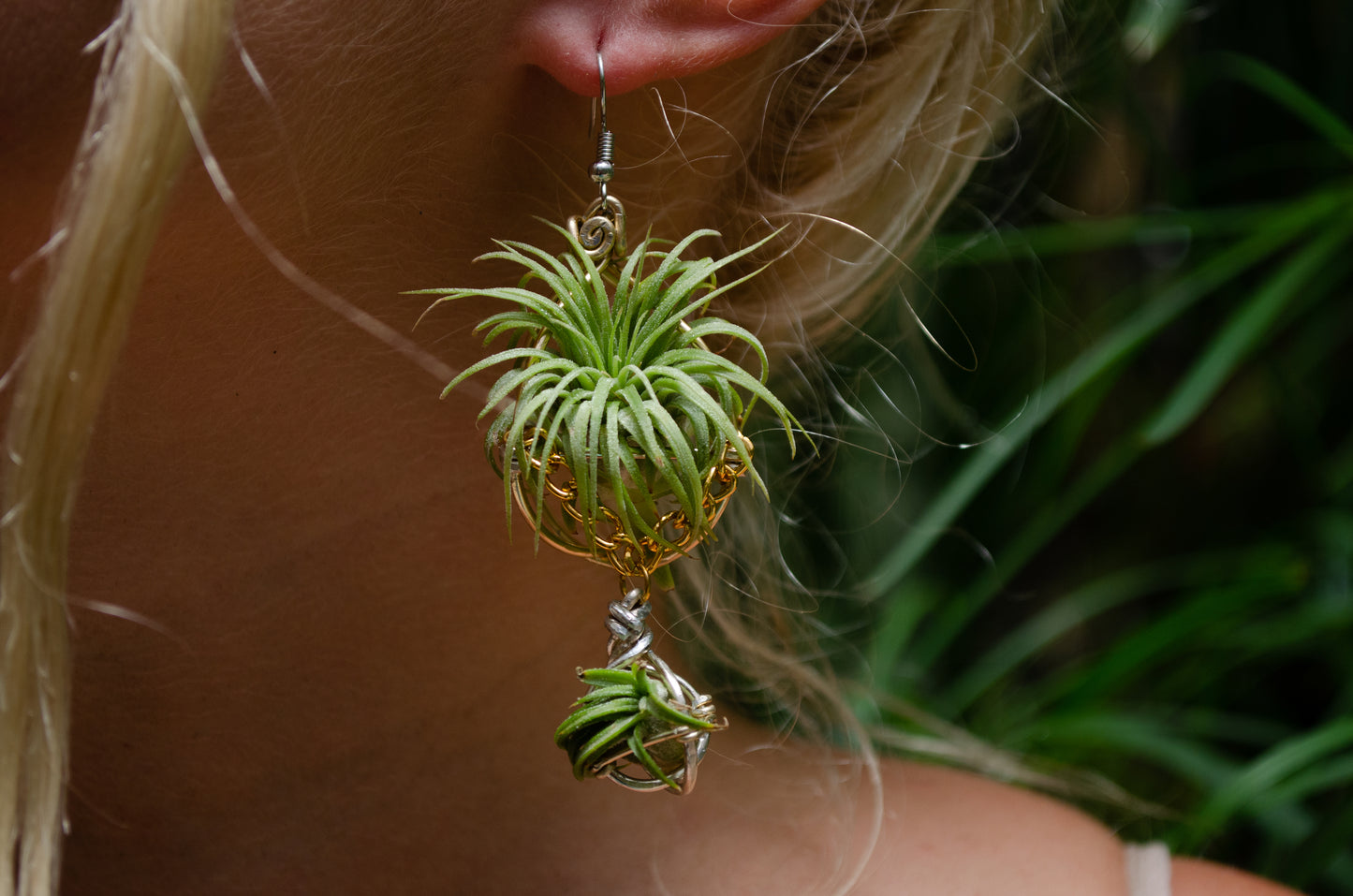 Air Plant Orb Earrings ~ Mama + Baby Air Plant