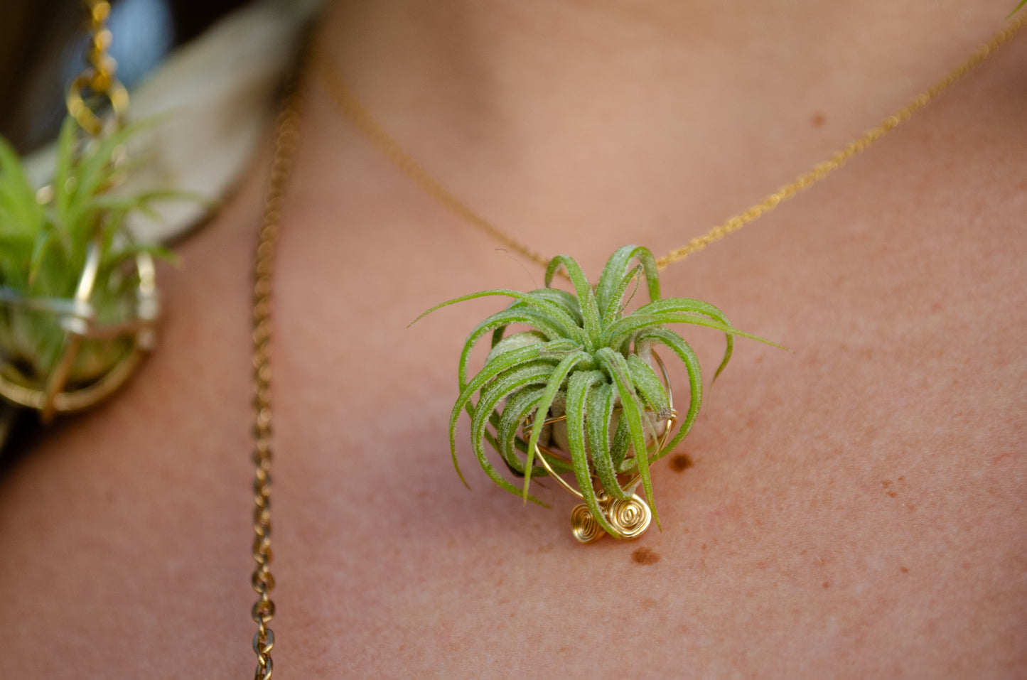 Minimalist 14K Gold Air Plant Orb Pendant ~ Dainty
