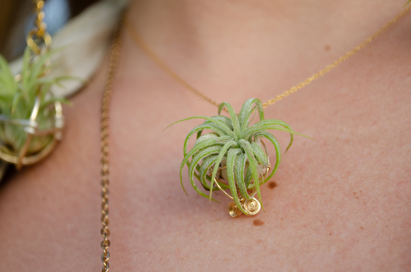 Minimalist 14K Gold Air Plant Orb Pendant ~ Dainty