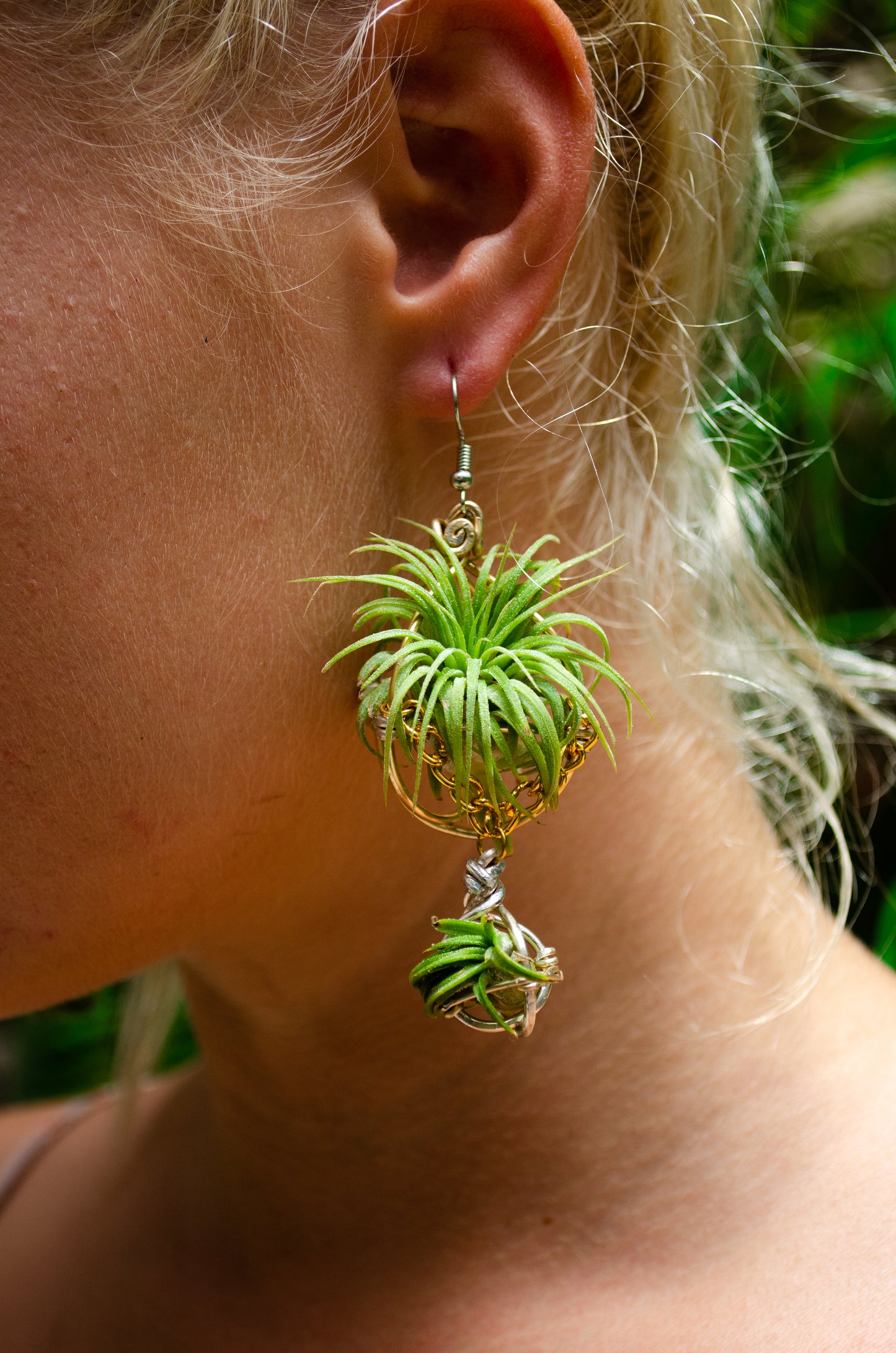 Air Plant Orb Earrings ~ Mama + Baby Air Plant