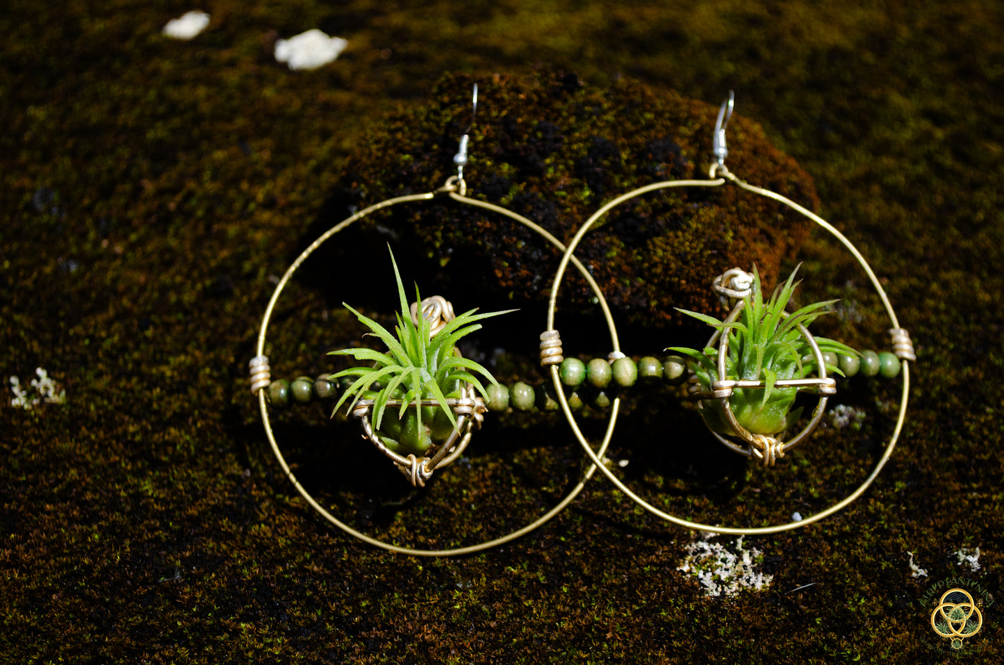 Living Air Plant Living Hoop Earrings