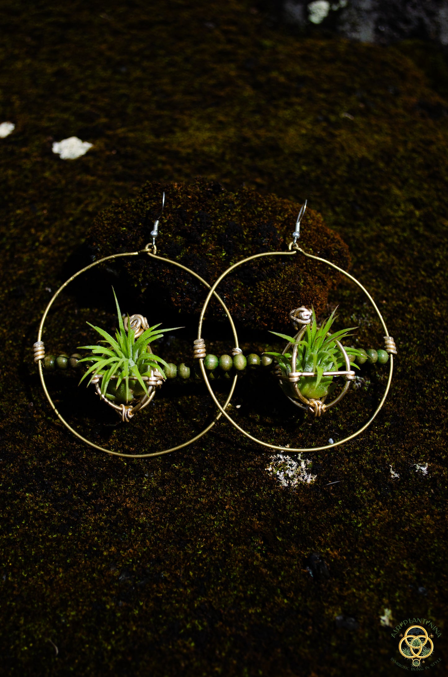 Living Air Plant Living Hoop Earrings