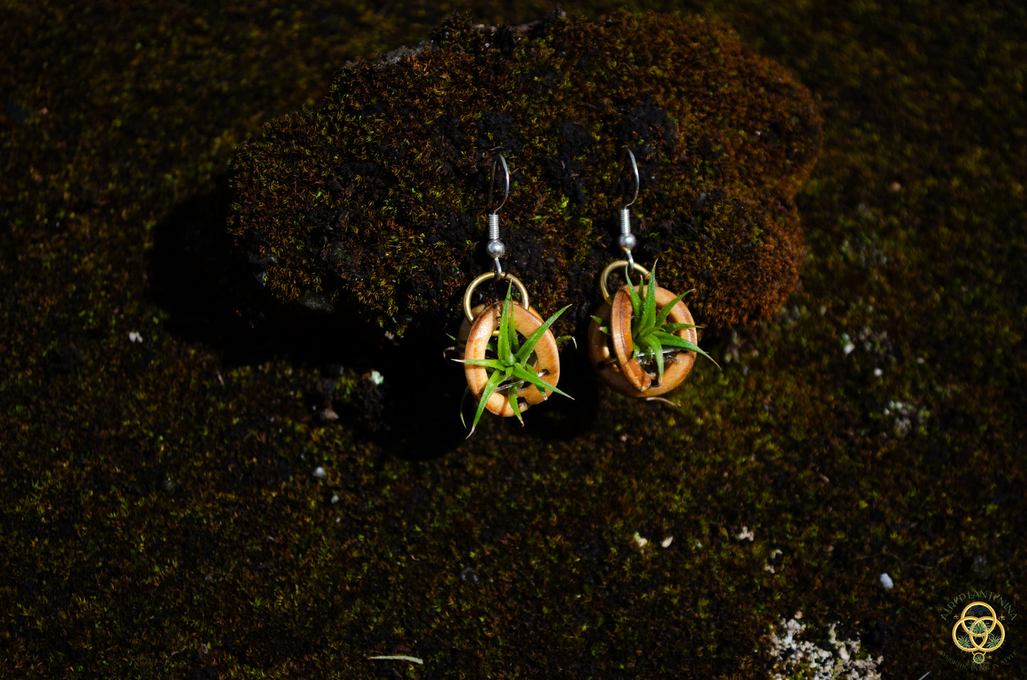 Lasercut Wooden Air Plant Orb Earrings ~ Japanese Tsugite Technique
