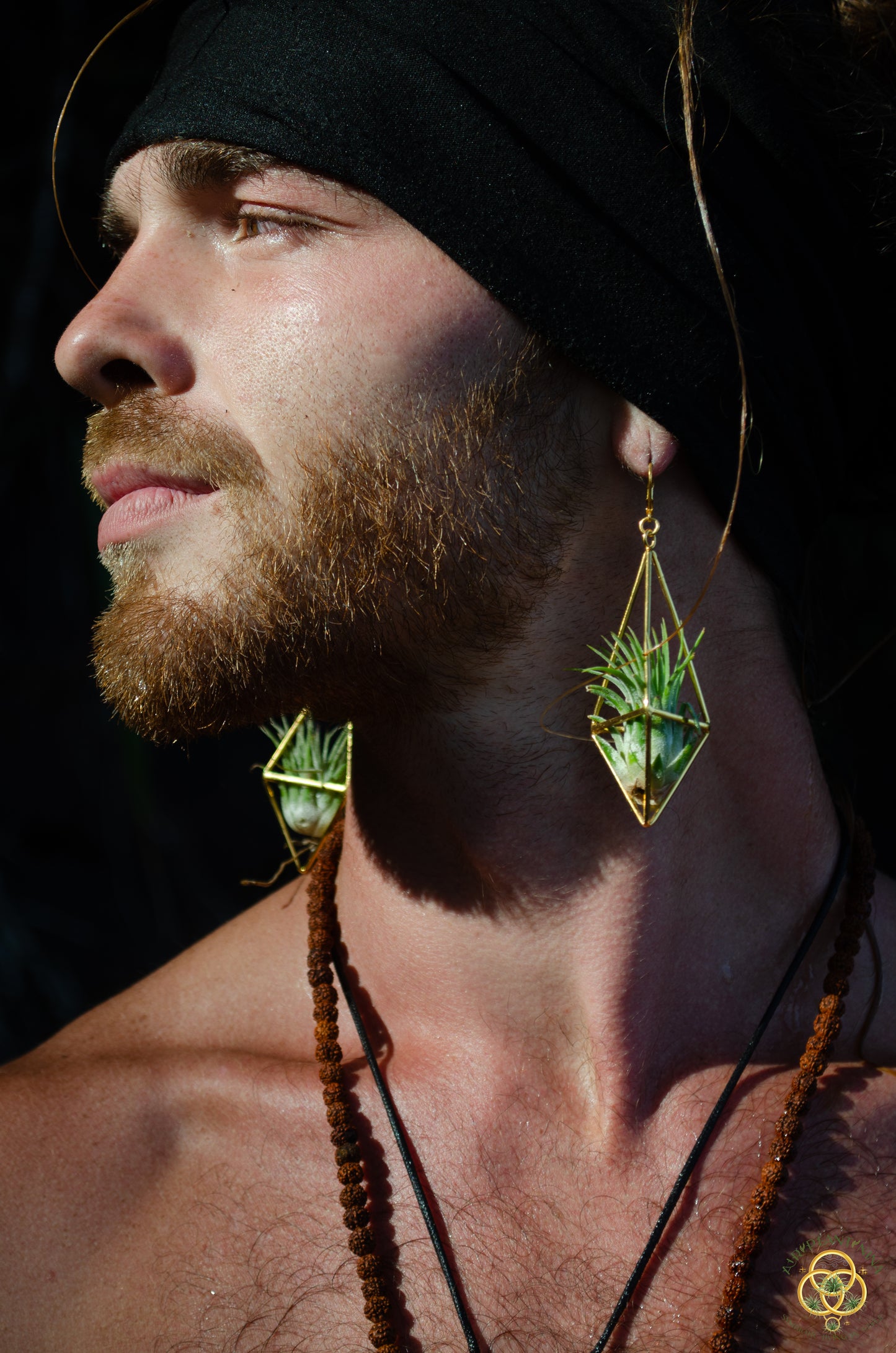24K Gold Long Tetrahedron Air Plant Earrings ~ Minimalist Geometric Earrings