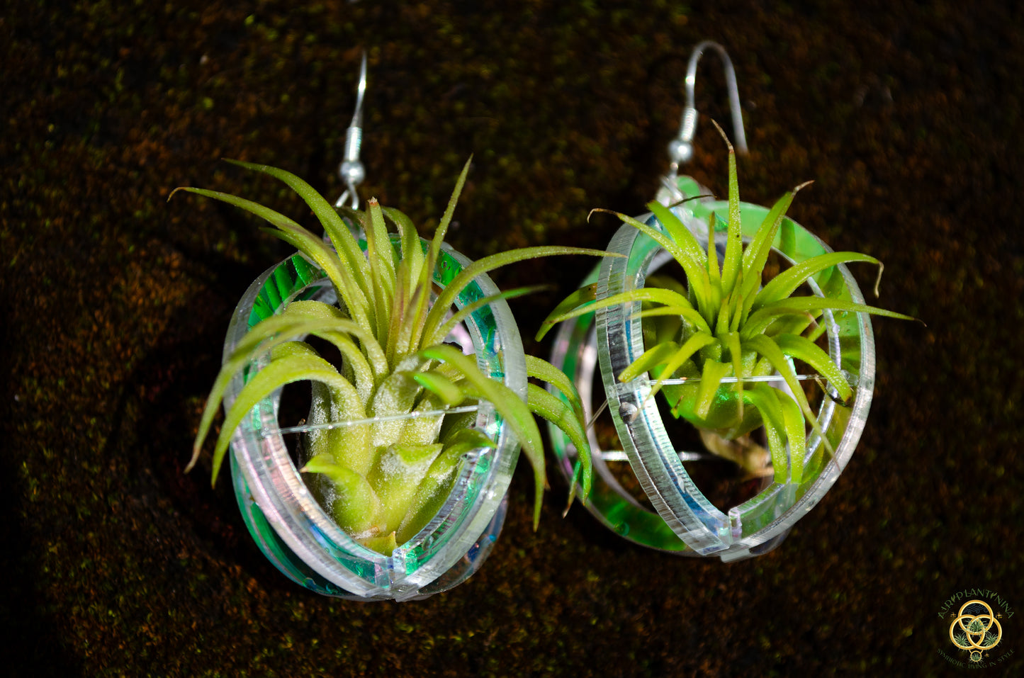 Air Plant Orb Earrings Blacklight Holographic ~ Lasercut Original Design