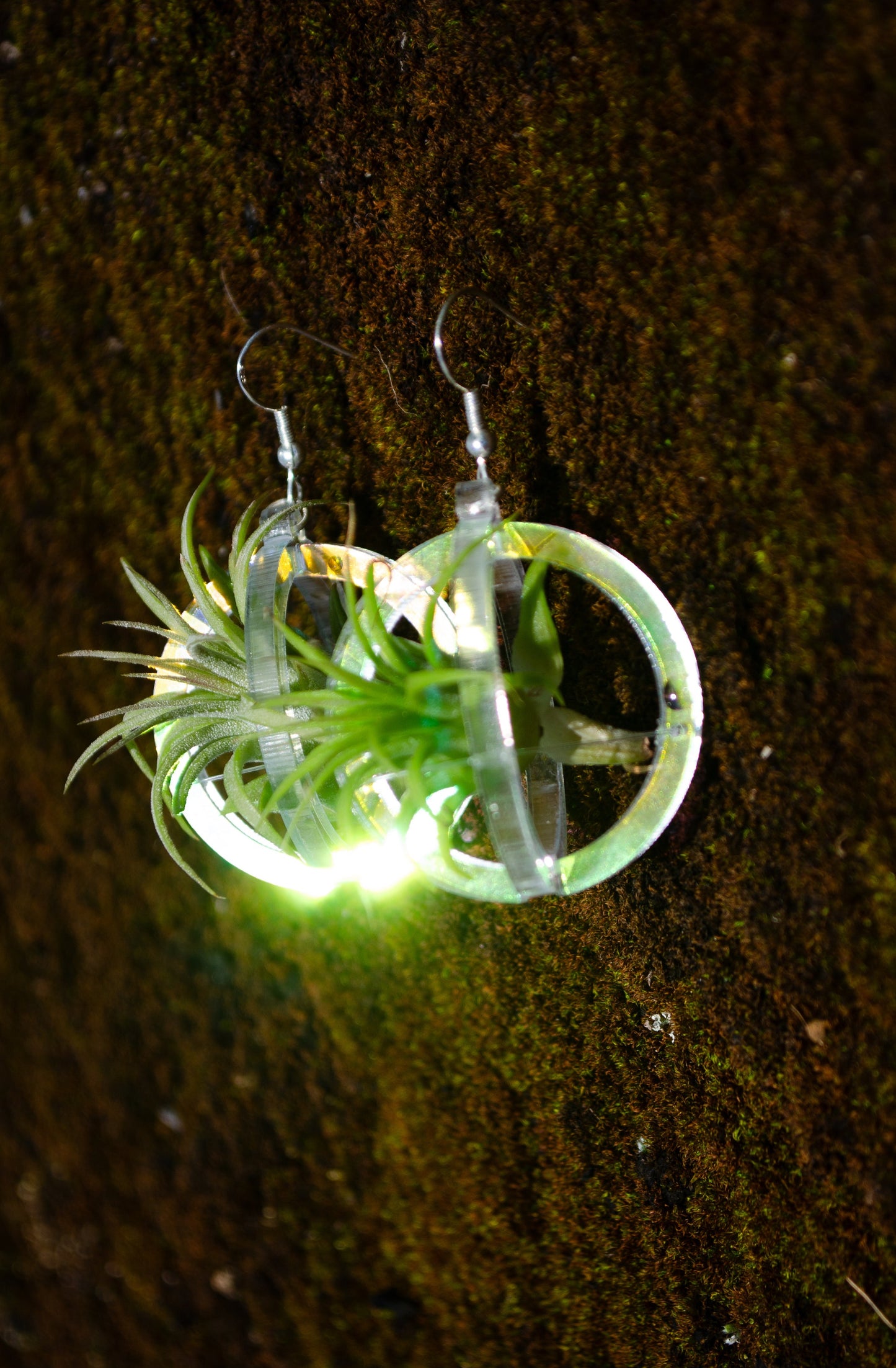 Air Plant Orb Earrings Blacklight Holographic ~ Lasercut Original Design