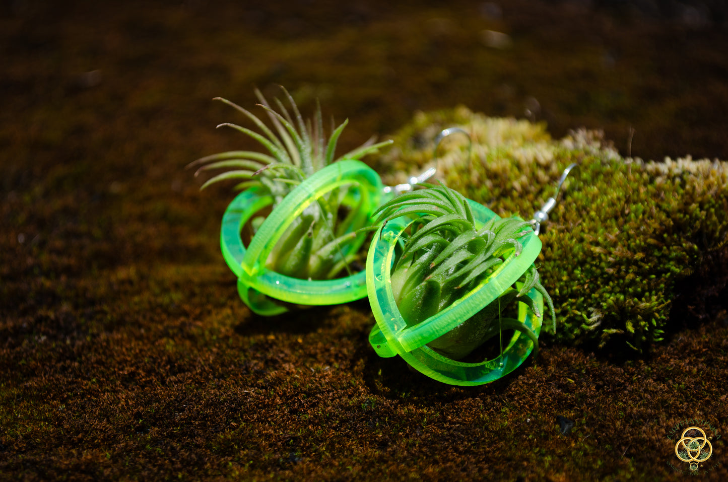 Air Plant Orb Earrings Blacklight Holographic ~ Lasercut Original Design