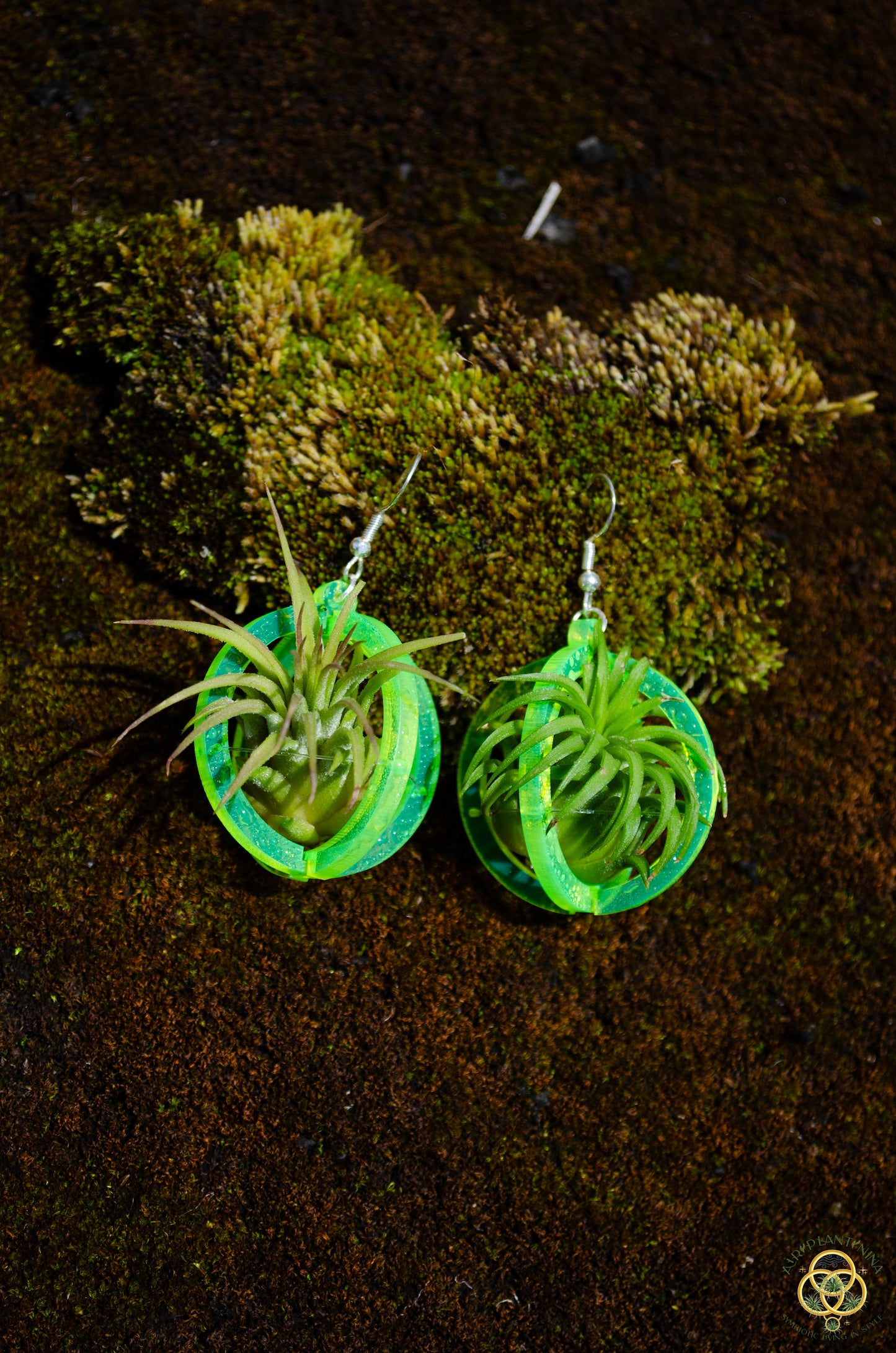 Air Plant Orb Earrings Blacklight Holographic ~ Lasercut Original Design