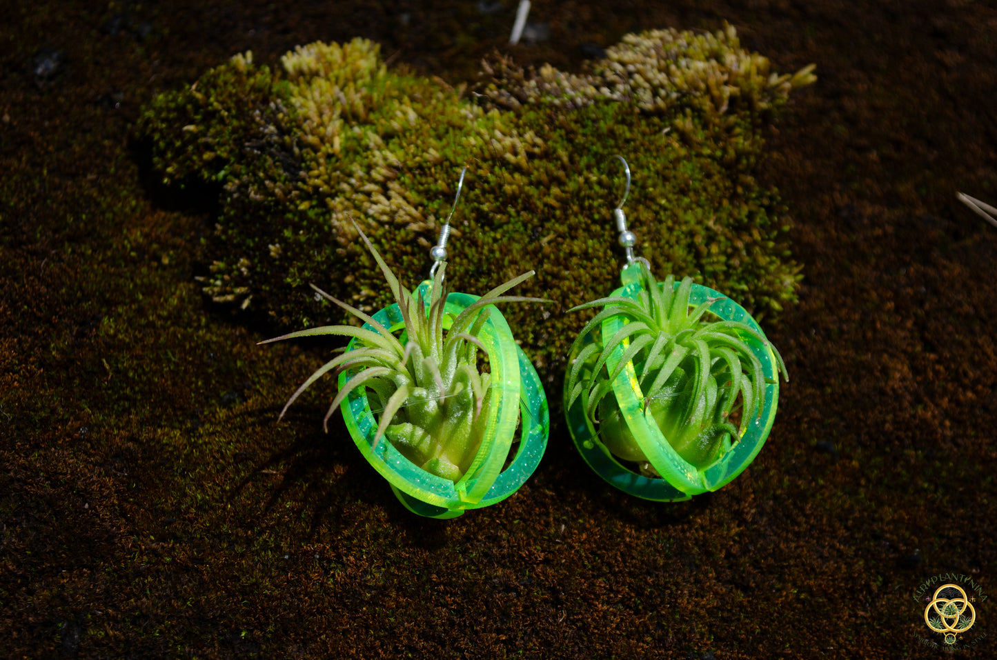 Air Plant Orb Earrings Blacklight Holographic ~ Lasercut Original Design