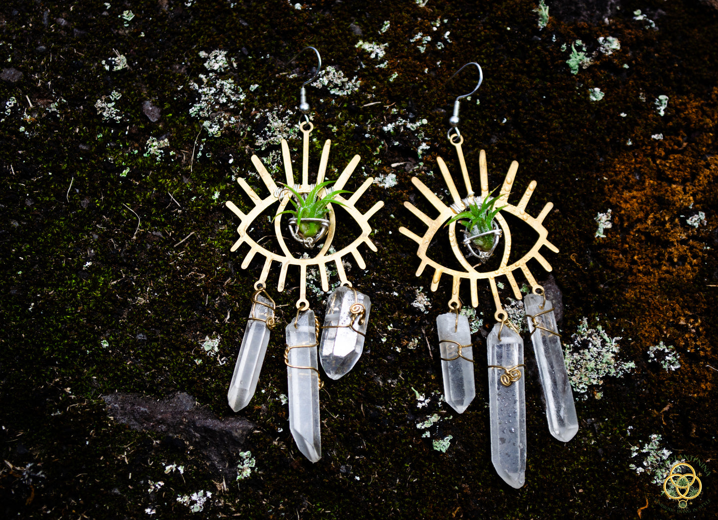 Third Eye-Ris Air Plant Earrings