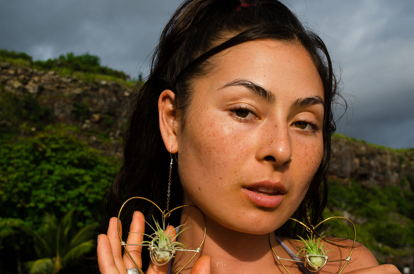 Air Plant Hoop Earrings Heart, Moon, Octagon