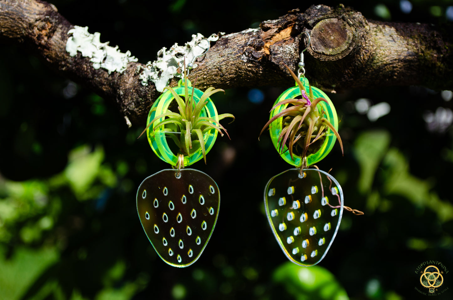Air Plant Orb Earrings ~ Strawberry ~ Blacklight Holographic ~ Lasercut Original Design