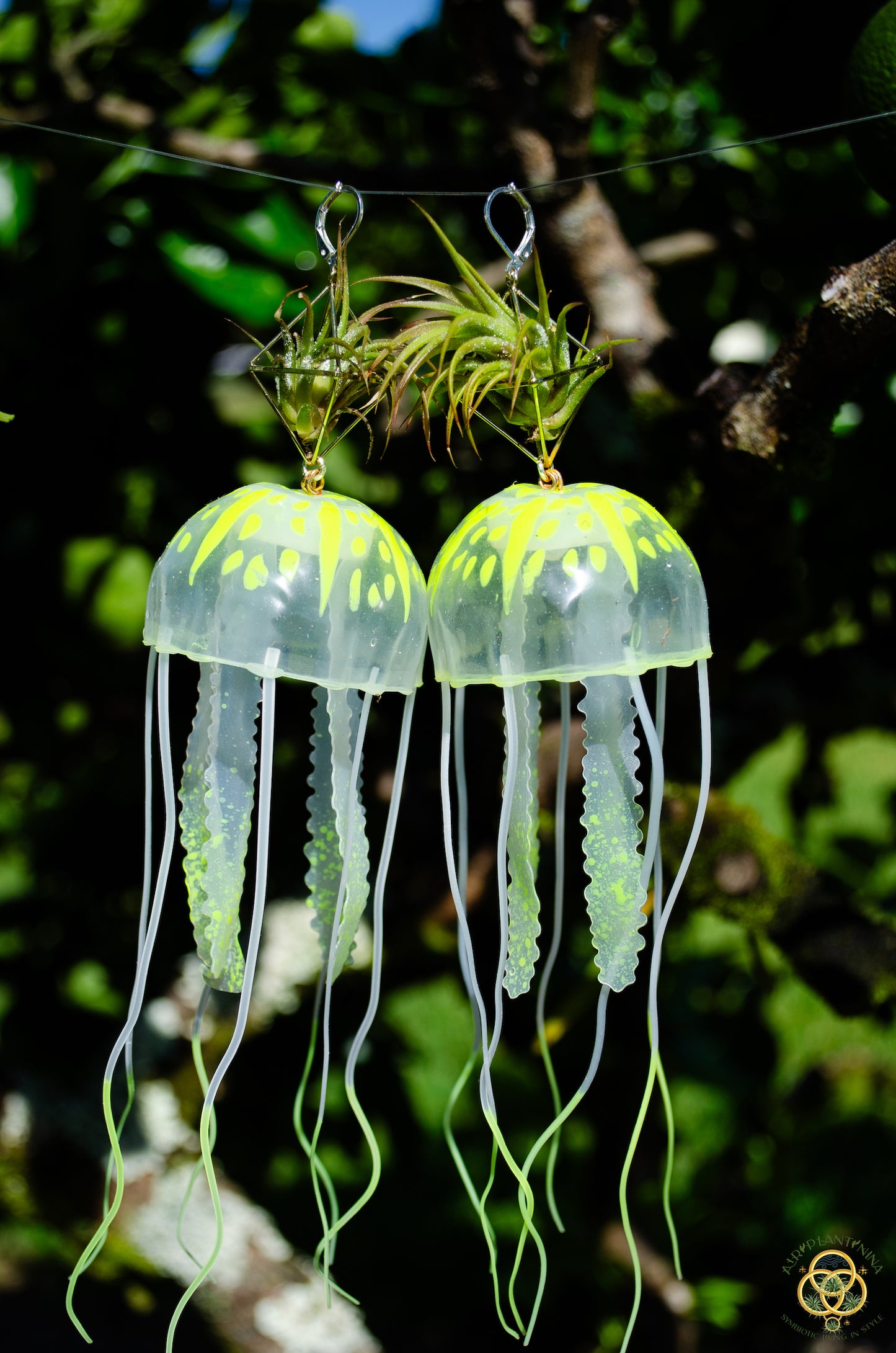 Jellyfish Glow Air Plant Earrings