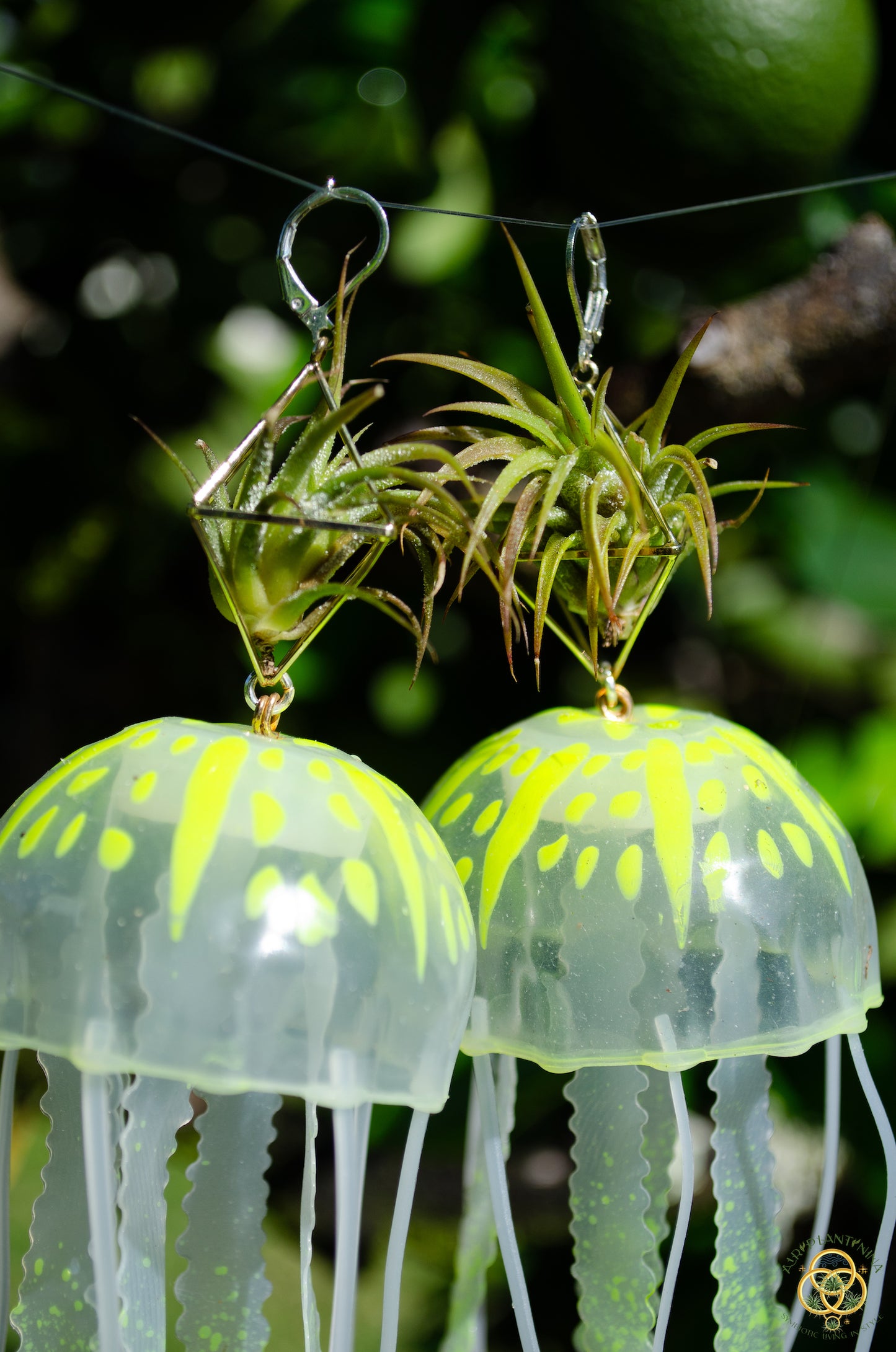 Jellyfish Glow Air Plant Earrings