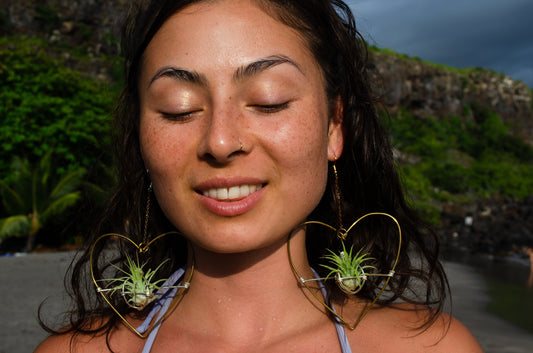 Air Plant Hoop Earrings Heart, Moon, Octagon