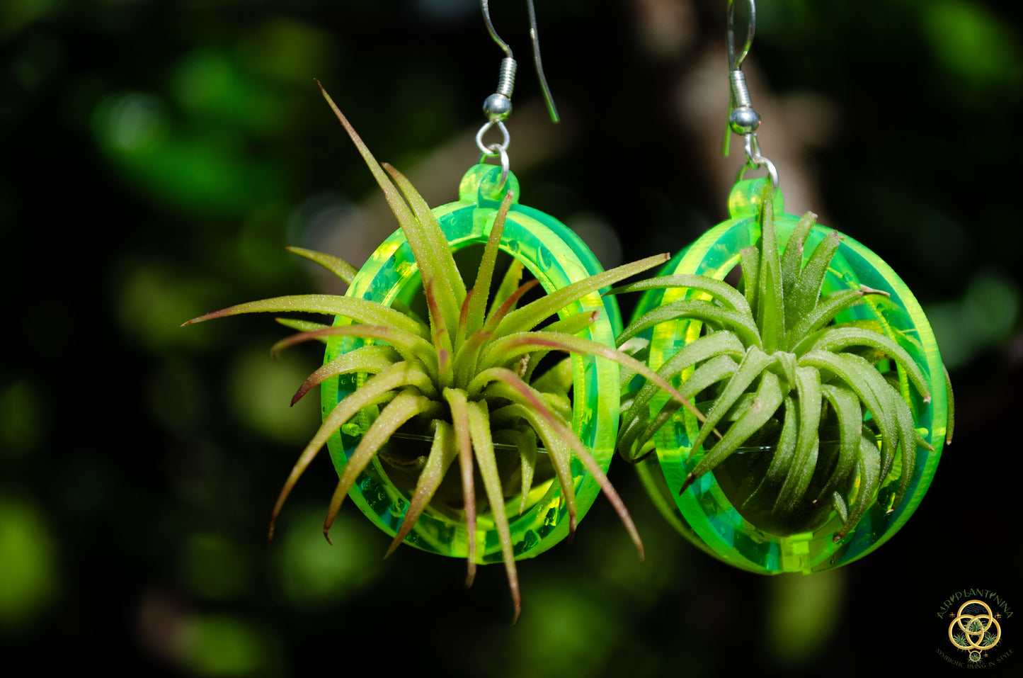 Air Plant Orb Earrings Blacklight Holographic ~ Lasercut Original Design