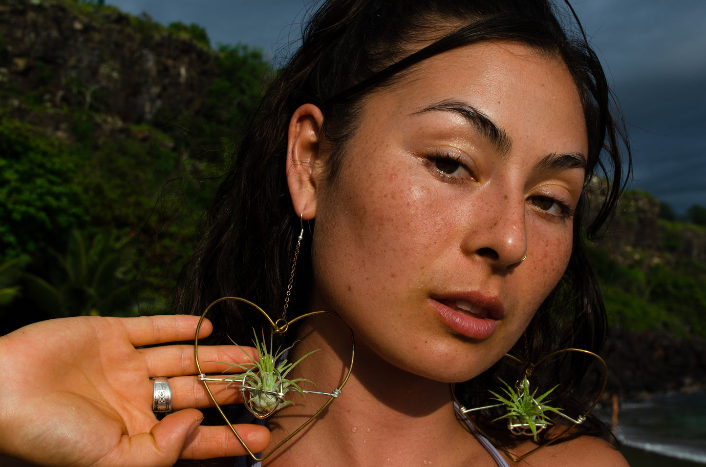 Air Plant Hoop Earrings Heart, Moon, Octagon