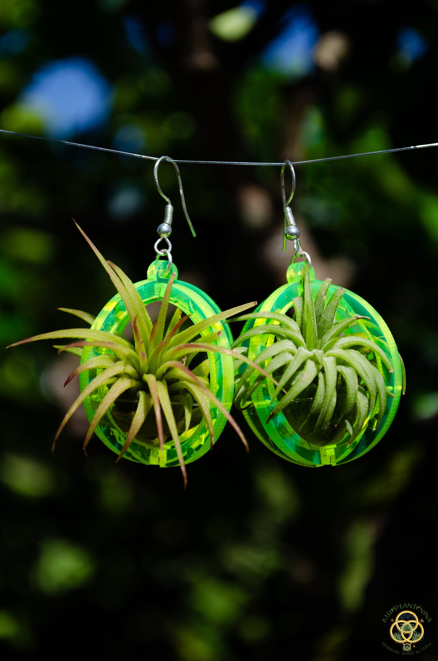 Air Plant Orb Earrings Blacklight Holographic ~ Lasercut Original Design