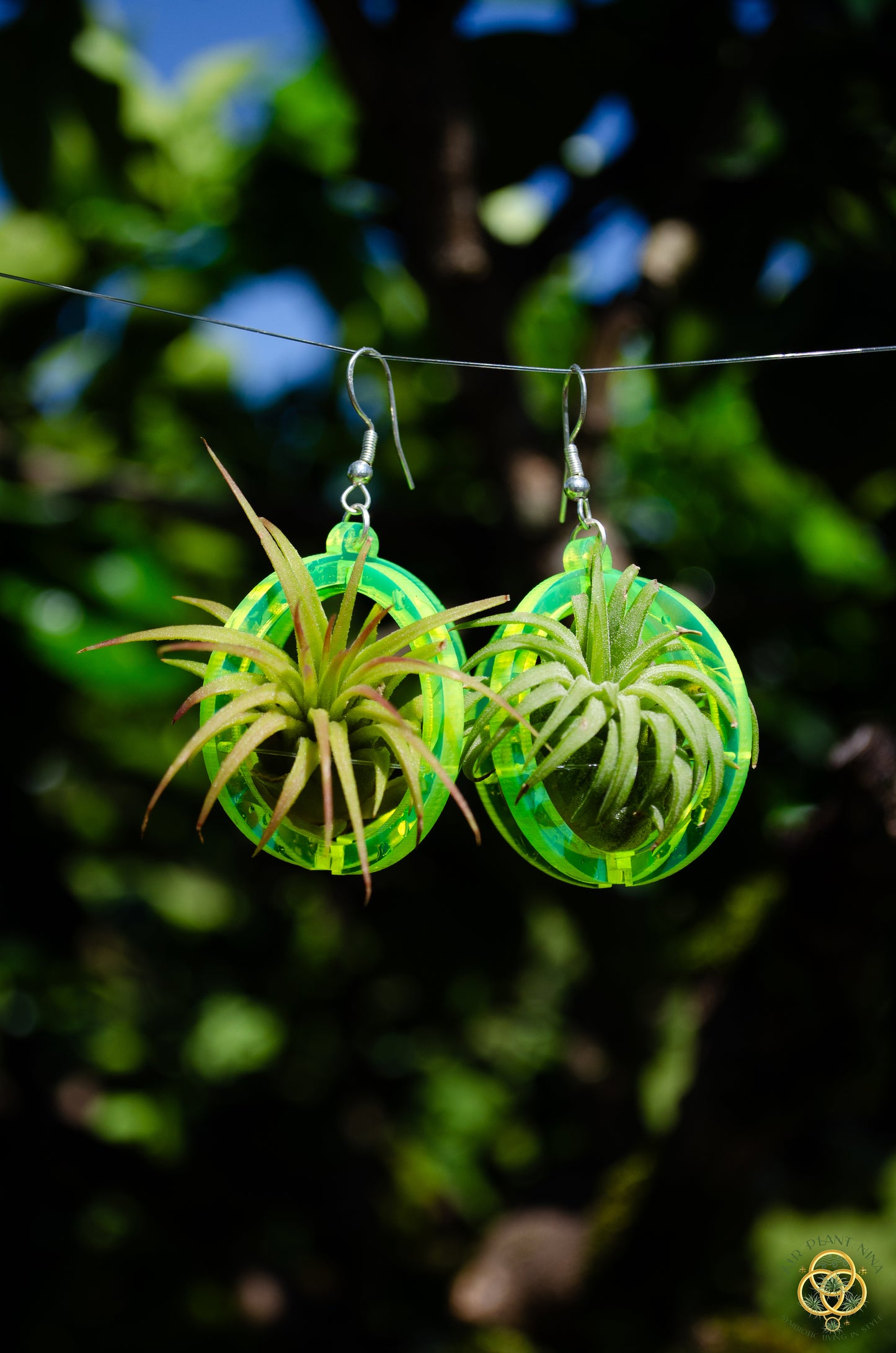 Air Plant Orb Earrings Blacklight Holographic ~ Lasercut Original Design