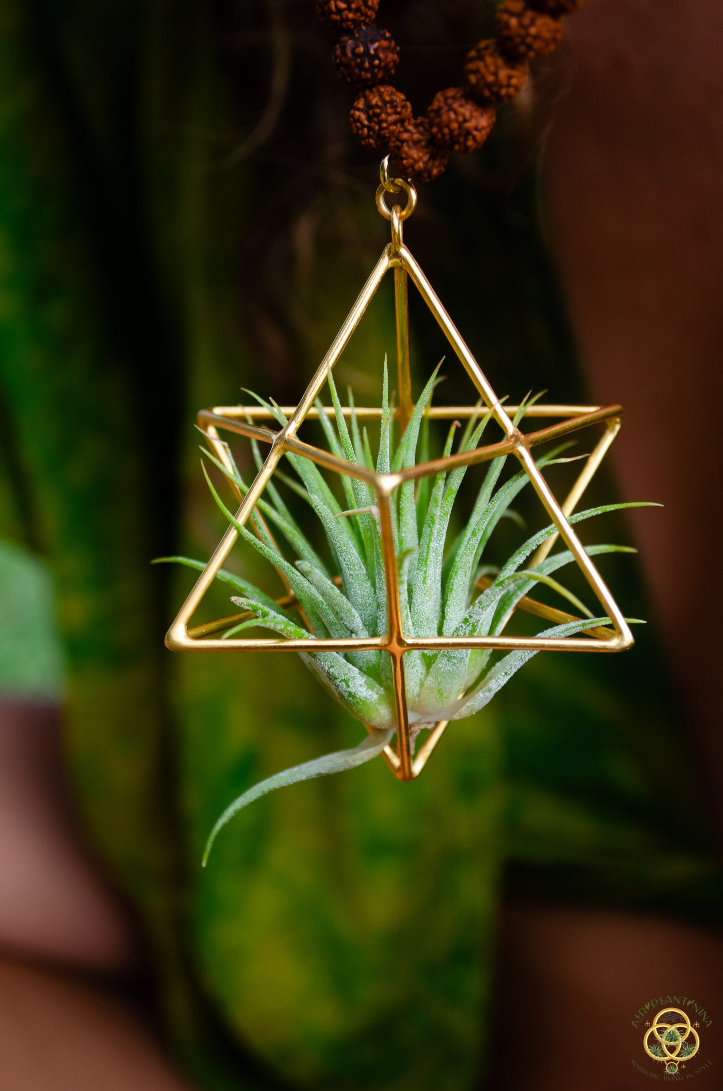 24K Gold Merkaba Air Plant Terrarium Monk Necklace ~ Buddha Prayer Rudraksha Beads