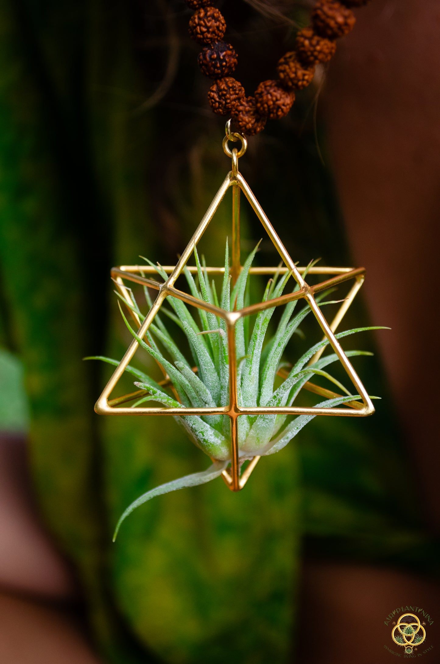 24K Gold Merkaba Air Plant Terrarium Monk Necklace ~ Buddha Prayer Rudraksha Beads