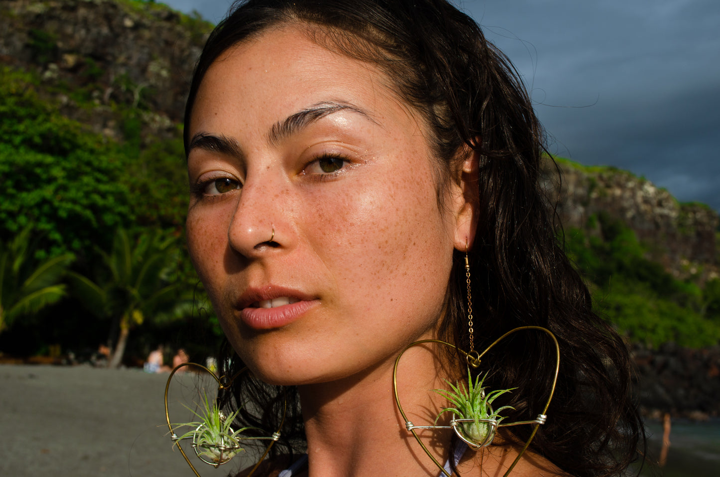 Air Plant Hoop Earrings Heart, Moon, Octagon